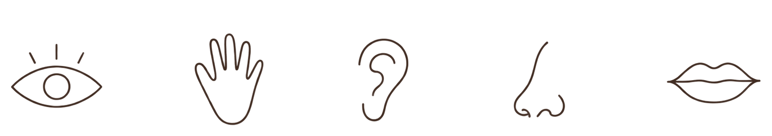 Five small drawings in a row: an eye, an open hand, an ear, a nose and a pair of lips